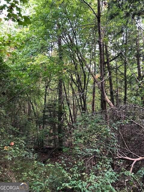 5.95 Ac Alp Lane Blue Ridge GA 30513