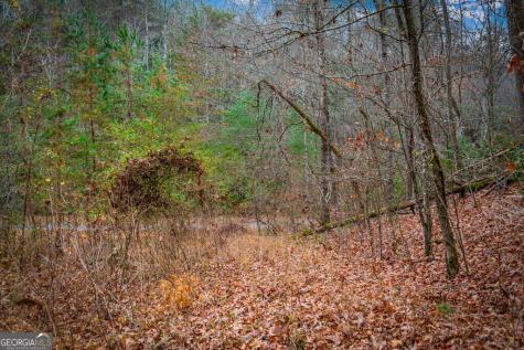 5.97AC Bullen Gap Road Blue Ridge GA 30513