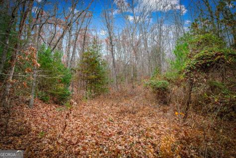 5.97AC Bullen Gap Road Blue Ridge GA 30513