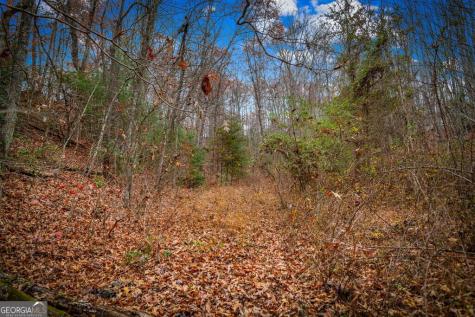 5.97AC Bullen Gap Road Blue Ridge GA 30513