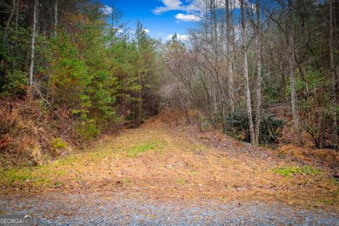 5.97AC Bullen Gap Road Blue Ridge GA 30513
