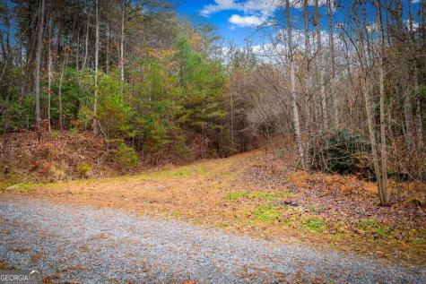 5.97AC Bullen Gap Road Blue Ridge GA 30513