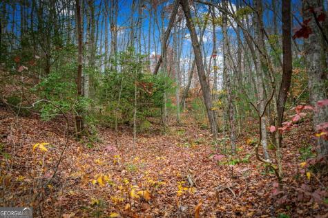 5.97AC Bullen Gap Road Blue Ridge GA 30513