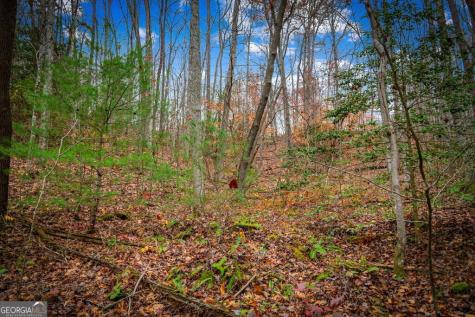 5.97AC Bullen Gap Road Blue Ridge GA 30513