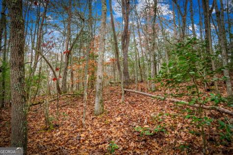 5.97AC Bullen Gap Road Blue Ridge GA 30513