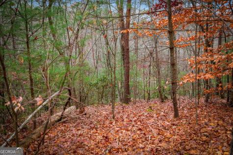 5.97AC Bullen Gap Road Blue Ridge GA 30513