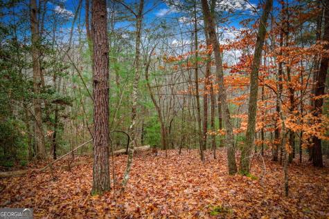 5.97AC Bullen Gap Road Blue Ridge GA 30513