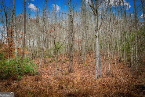 5.97AC Bullen Gap Road Blue Ridge GA 30513