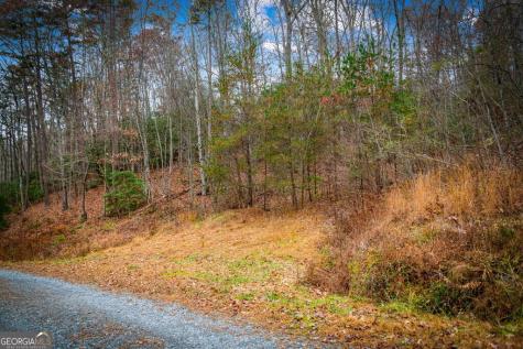 5.97AC Bullen Gap Road Blue Ridge GA 30513