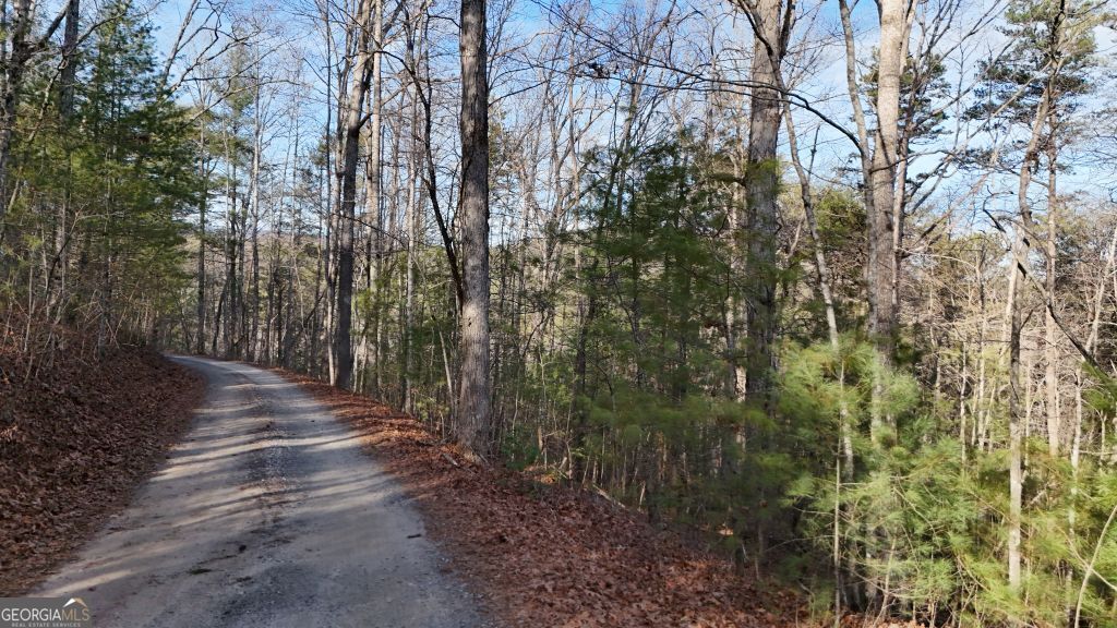 Lot 1 Gold Valley Road Sautee Nacoochee GA 30571