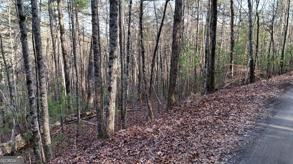 Lot 1 Gold Valley Road Sautee Nacoochee GA 30571
