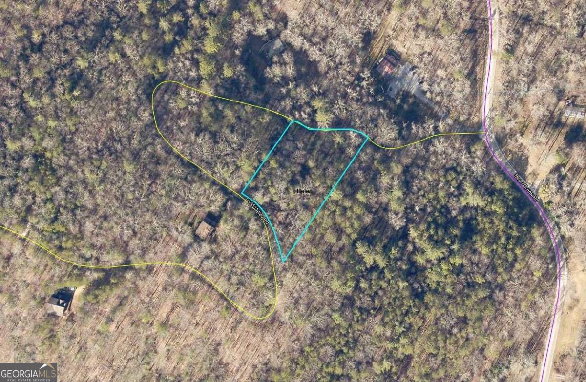 Lot 1 Gold Valley Road Sautee Nacoochee GA 30571