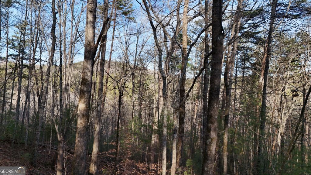 Lot 1 Gold Valley Road Sautee Nacoochee GA 30571