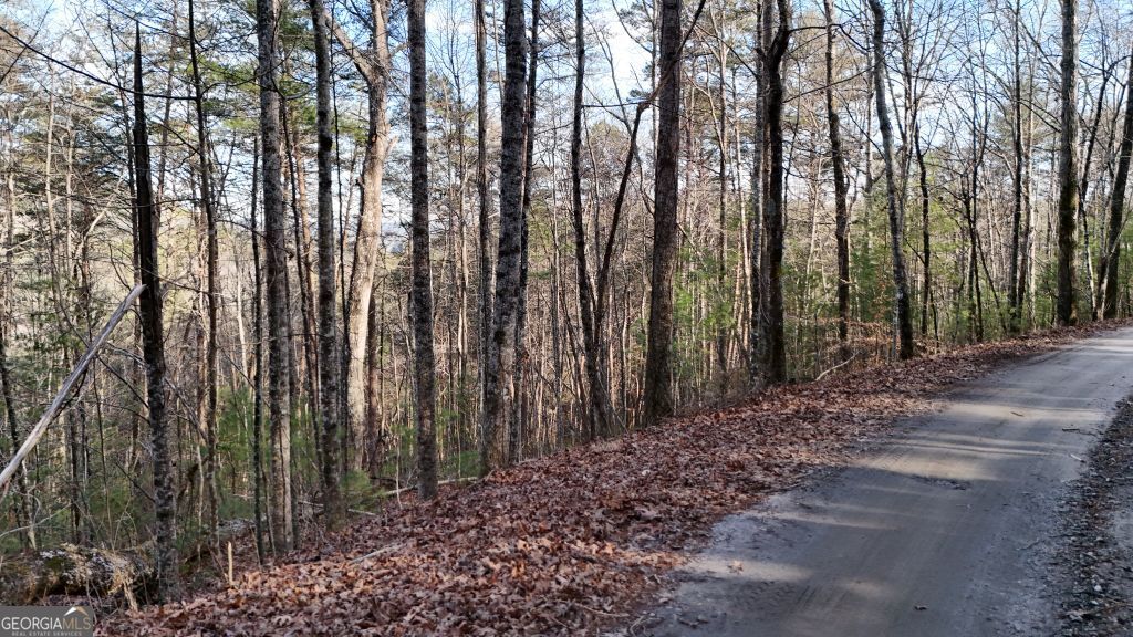 Lot 1 Gold Valley Road Sautee Nacoochee GA 30571