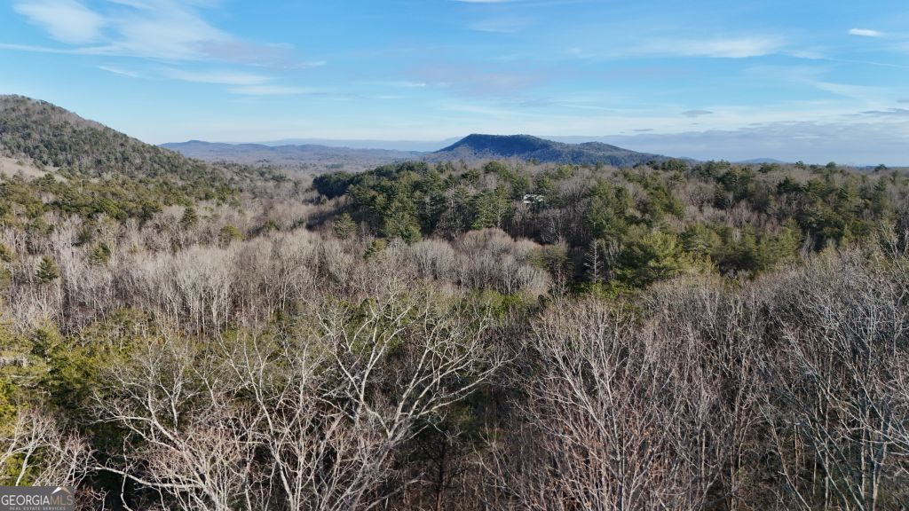 Lot 1 Gold Valley Road Sautee Nacoochee GA 30571