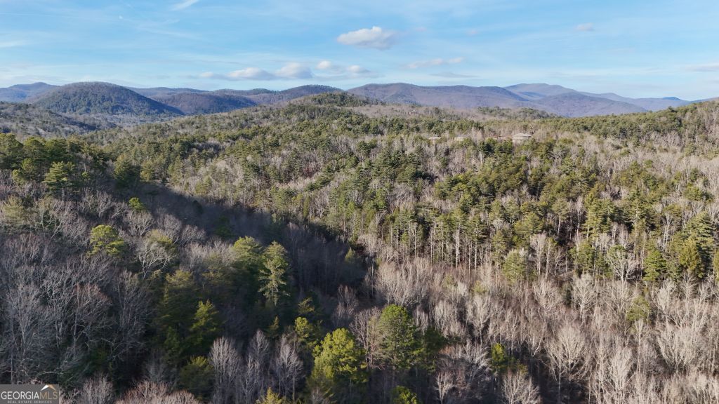 Lot 1 Gold Valley Road Sautee Nacoochee GA 30571