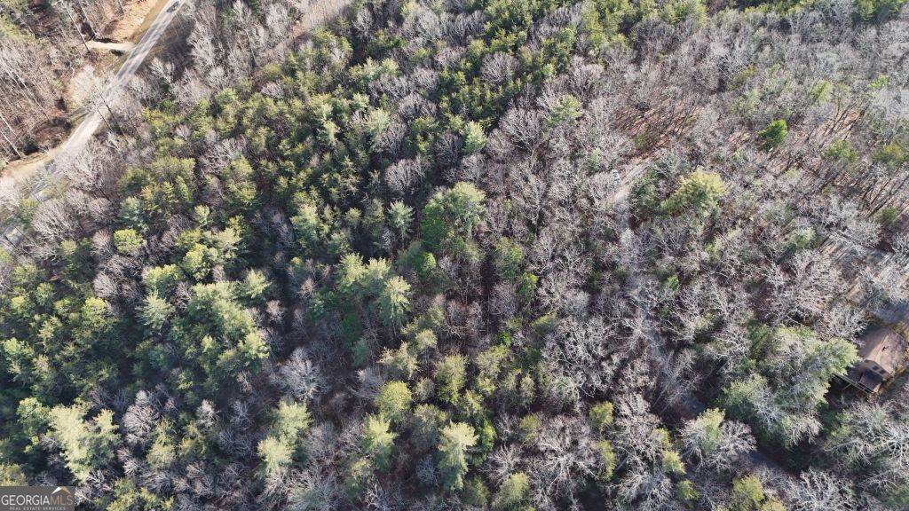 Lot 1 Gold Valley Road Sautee Nacoochee GA 30571