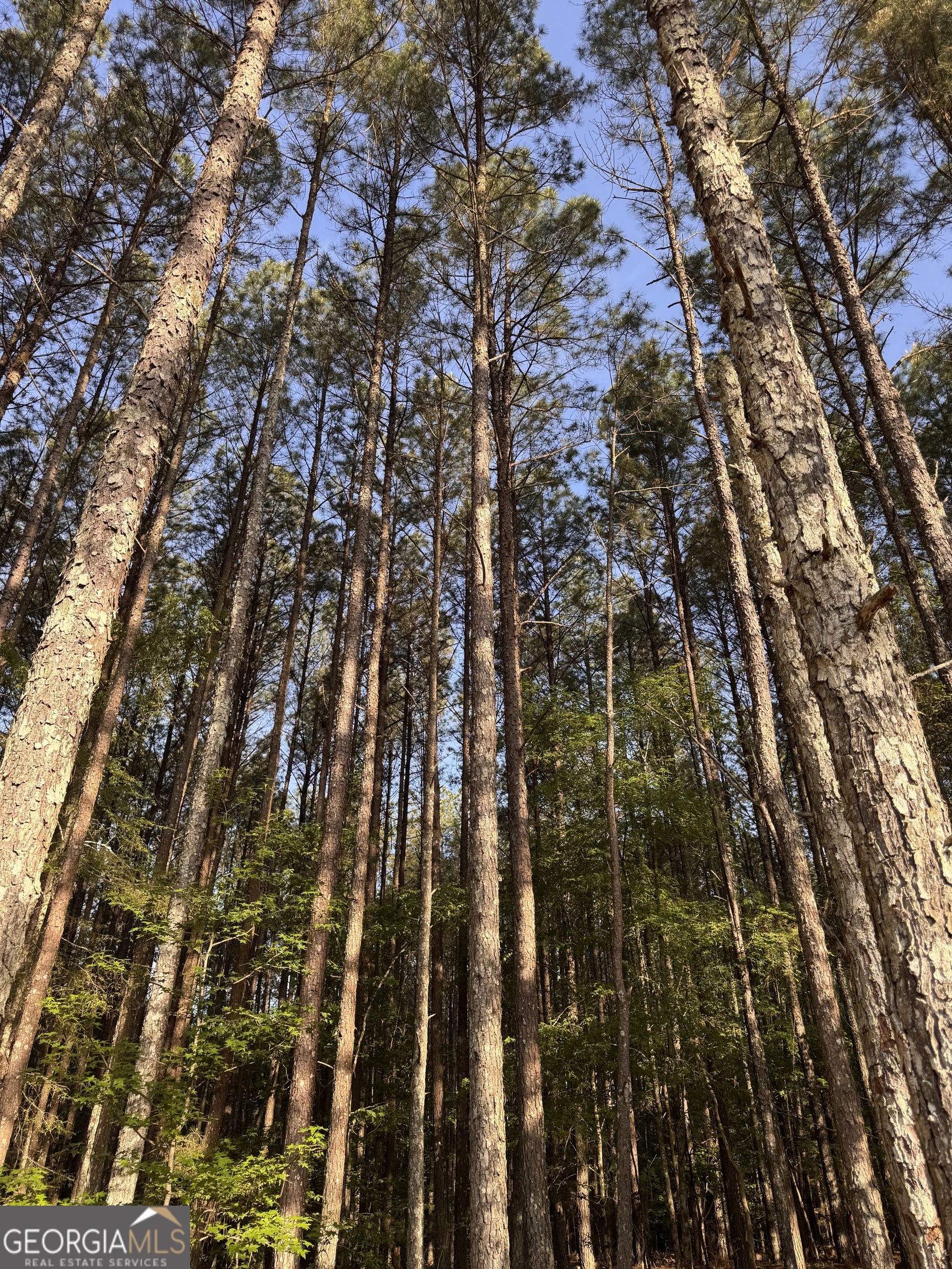 0 Conger Road Union Point GA 30669