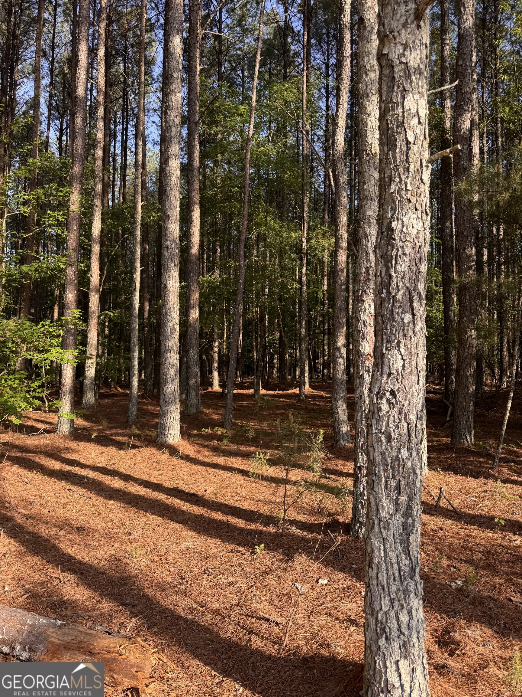 0 Conger Road Union Point GA 30669