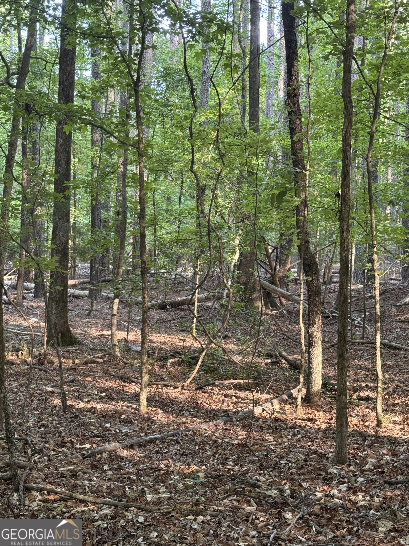0 Conger Road Union Point GA 30669