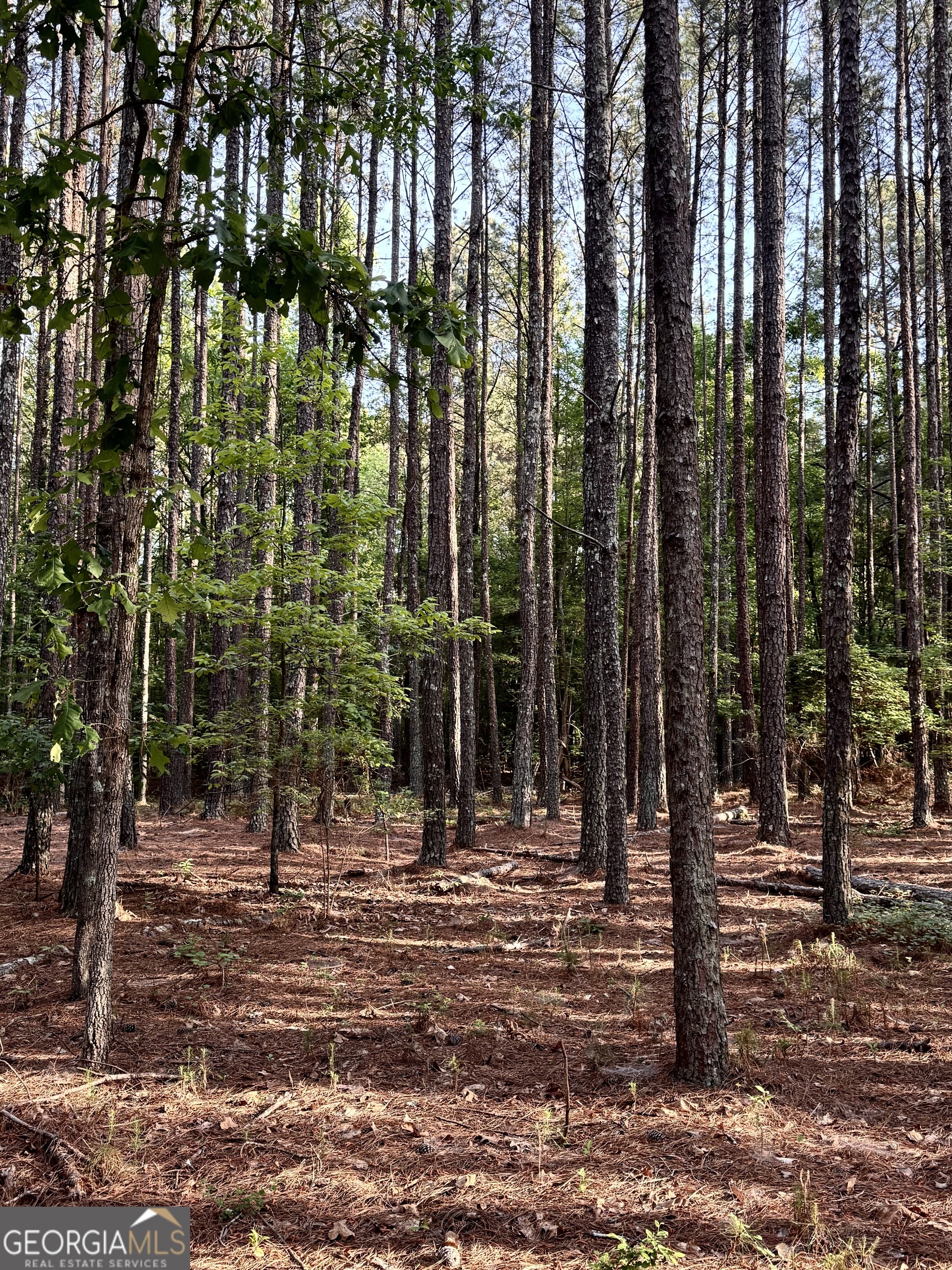 0 Conger Road Union Point GA 30669
