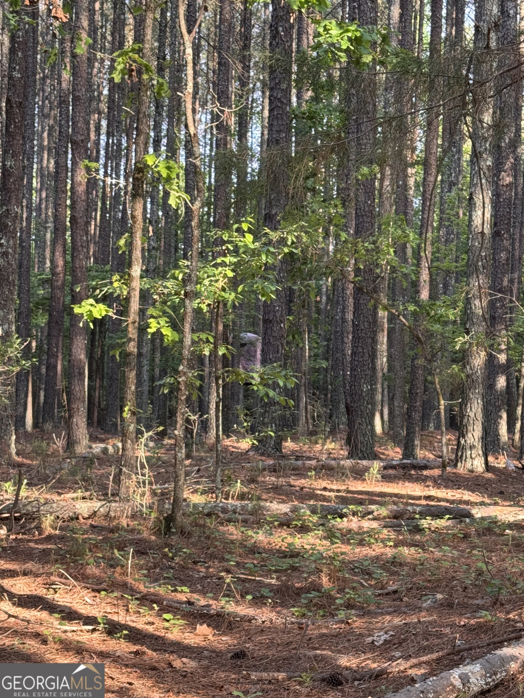 0 Conger Road Union Point GA 30669