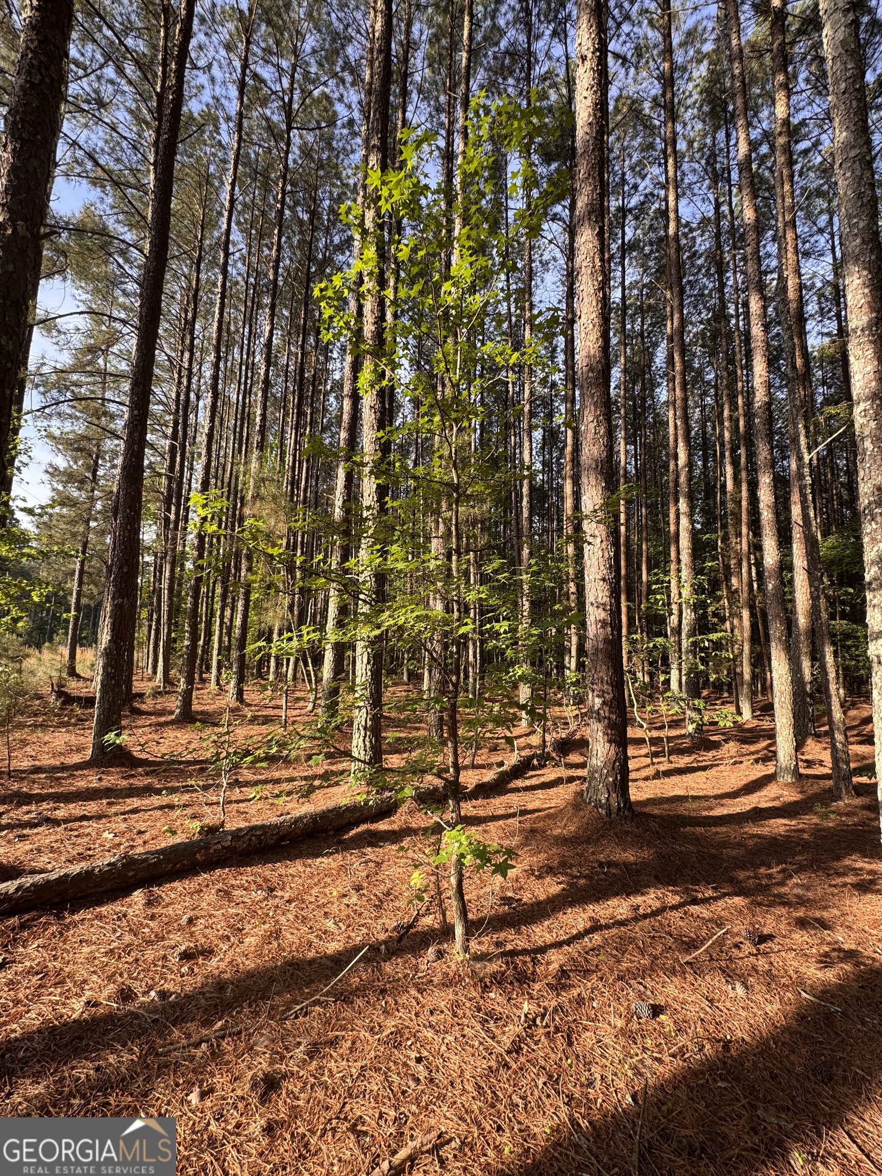 0 Conger Road Union Point GA 30669