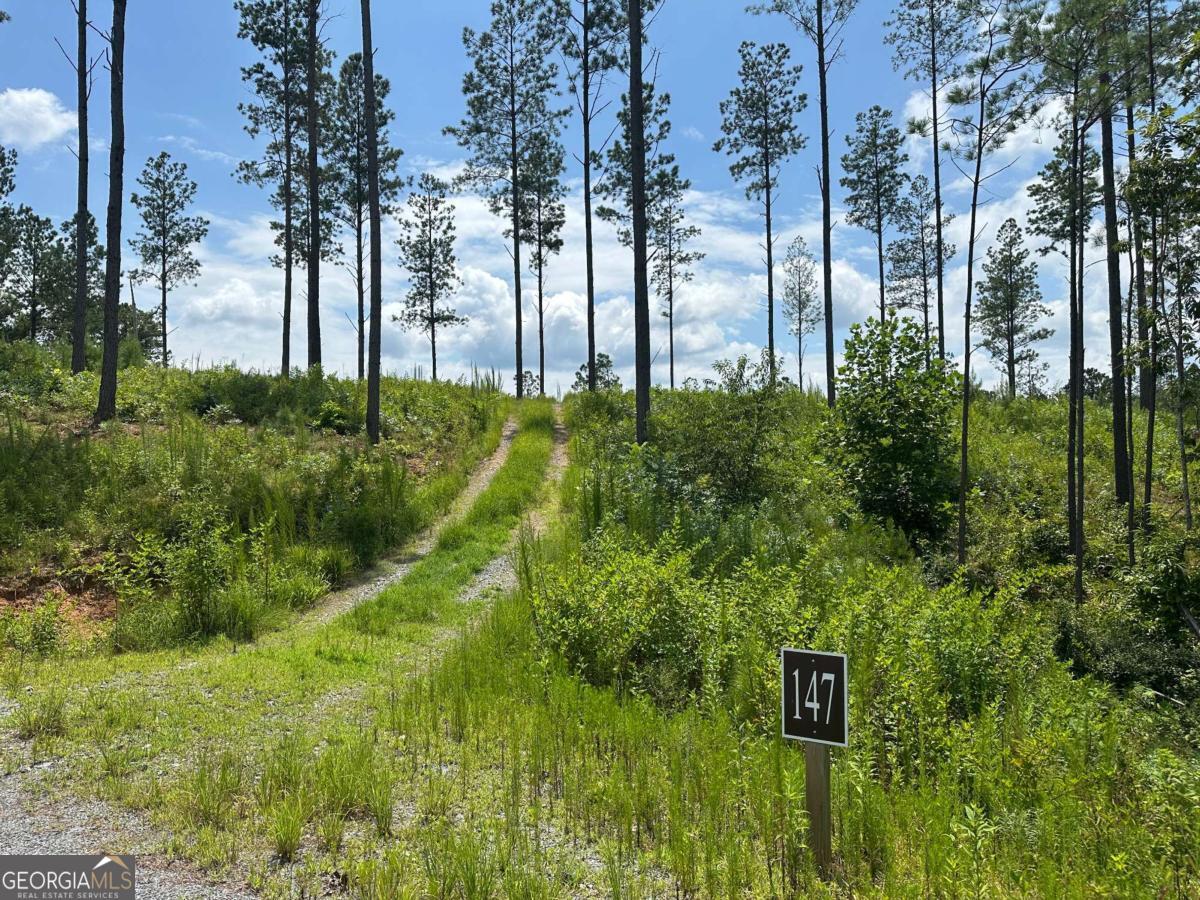 Lot 147 Creekside Crossing Talking Rock GA 30175