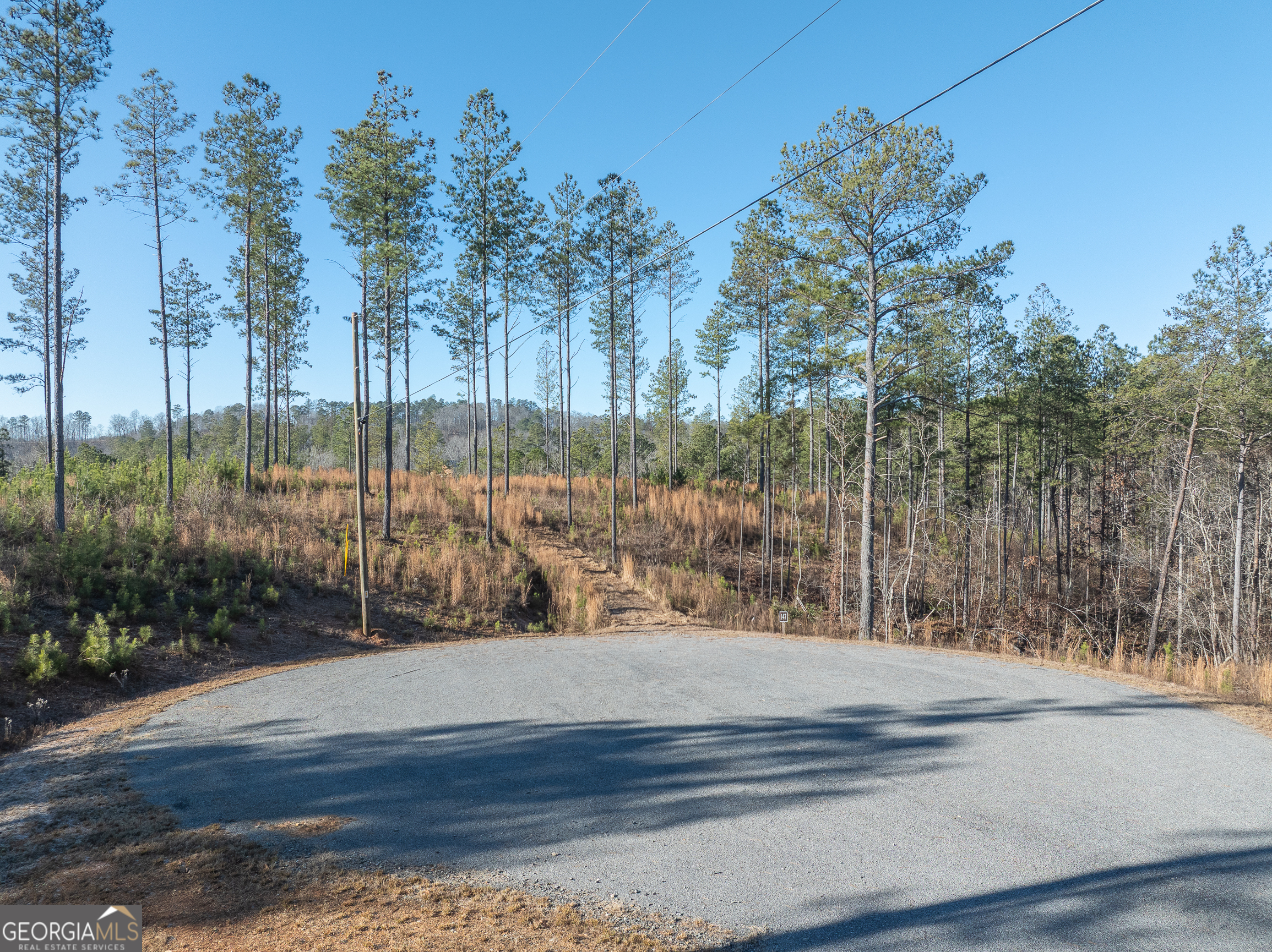 Lot 147 Creekside Crossing Talking Rock GA 30175