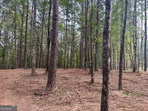 130 Patriot View Drive Dahlonega GA 30533