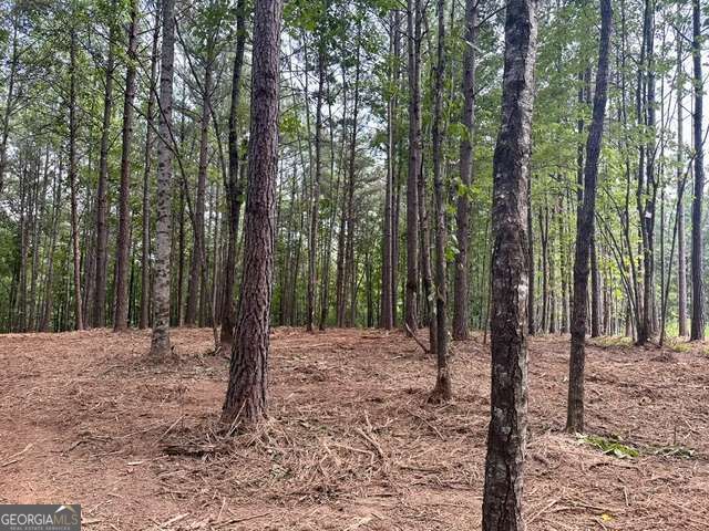 130 Patriot View Drive Dahlonega GA 30533