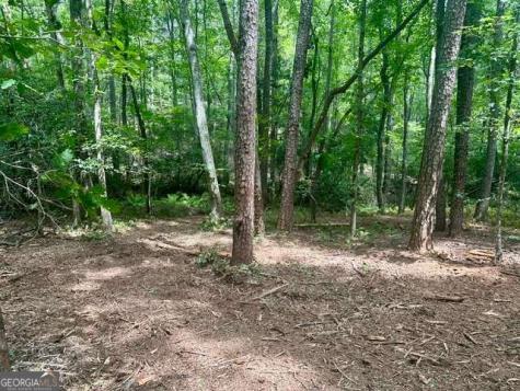 130 Patriot View Drive Dahlonega GA 30533