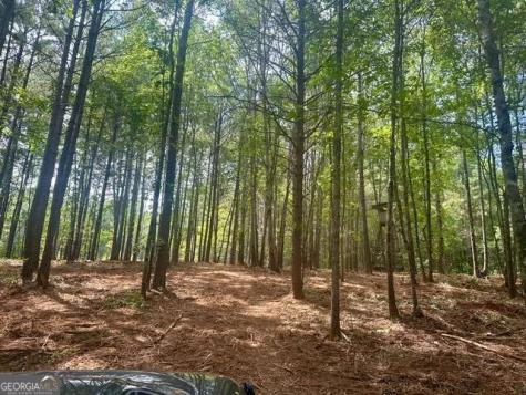 130 Patriot View Drive Dahlonega GA 30533