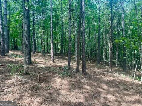 130 Patriot View Drive Dahlonega GA 30533