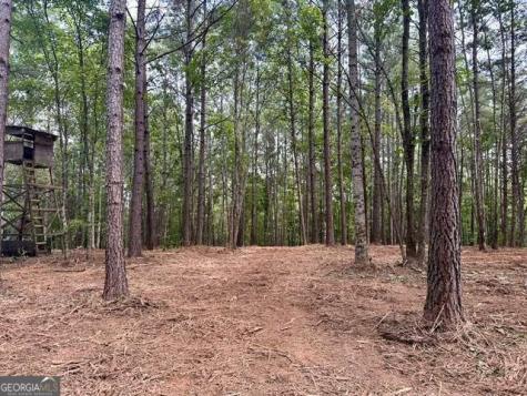 130 Patriot View Drive Dahlonega GA 30533