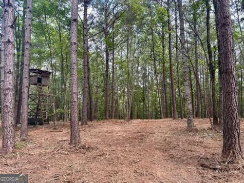130 Patriot View Drive Dahlonega GA 30533