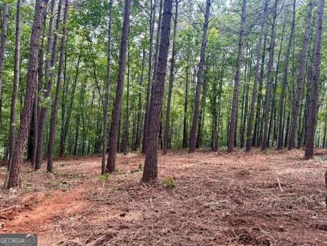 130 Patriot View Drive Dahlonega GA 30533