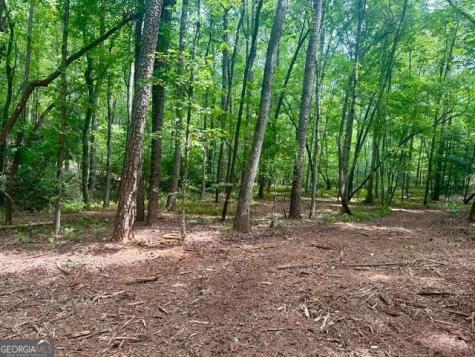 130 Patriot View Drive Dahlonega GA 30533