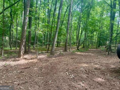 130 Patriot View Drive Dahlonega GA 30533