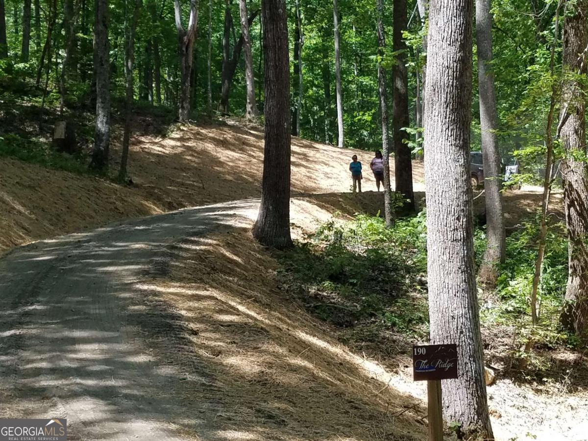 0 Valley Crest Drive Blairsville GA 30512