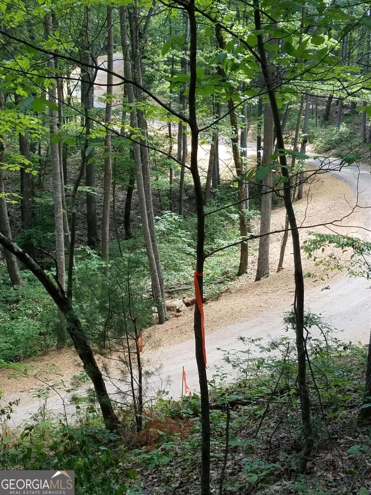 0 Valley Crest Drive Blairsville GA 30512