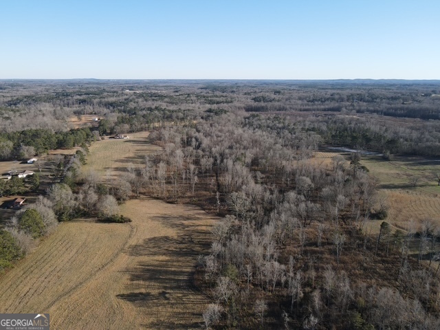 Lot 8 Caldwell Zebulon GA 30295