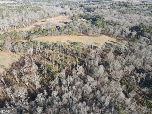 Lot 8 Caldwell Zebulon GA 30295
