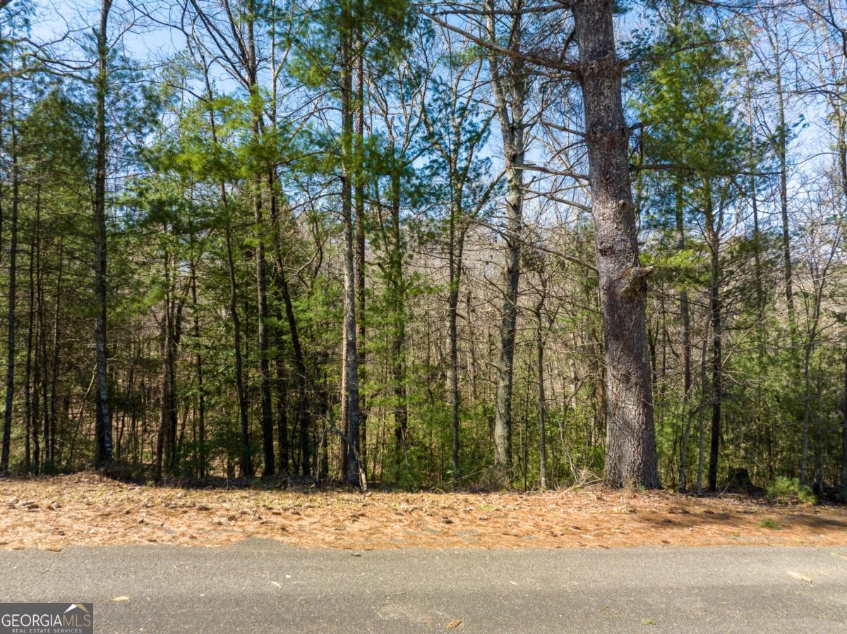 Lot 164 Shenendoa Drive Ellijay GA 30540