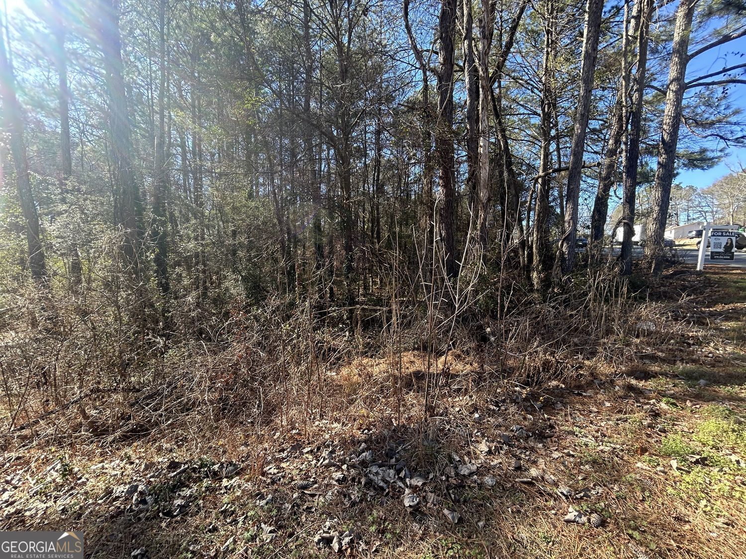7840 Horseshoe Bend Lithonia GA 30058