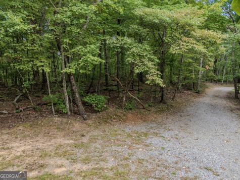 0 Clearview Drive Talking Rock GA 30175