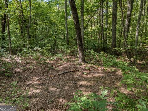 0 Clearview Drive Talking Rock GA 30175