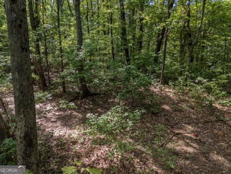 0 Clearview Drive Talking Rock GA 30175