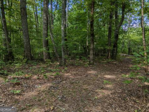 0 Clearview Drive Talking Rock GA 30175