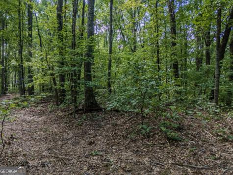 0 Clearview Drive Talking Rock GA 30175